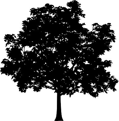 EPS 해외이미지 클립아트 나무 템플릿 공원 실루엣 줄기 낙엽 곡선 일러스트 자연 그림자 야외 그래픽 환경 수확 낙서 큼 스케치 자르기 관목 흰배경 복고 생물학 내추럴 고립 삼림지대 현실 해외일러스트 식물 공공시설 교육 선 백그라운드 잎 농업 모션 촬영기법 미술 흰색 숲 크기 생태계 파일형식 벡터 이미지허브