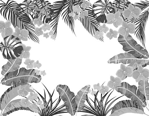 EPS 해외이미지 나무 식물 템플릿 디자인 배너 포스터 분홍색 백그라운드 잎 패턴 일러스트 자연 바나나 손바닥 그림자 미술 그래픽 장식 초록색 빛 컬러풀 유행 정원 검은색 흰색 난초 인쇄 심볼 오브젝트 싱글 그림 유기농 엽서 고립 엘리먼트 파스텔톤 현실 디테일 해외일러스트 손 웰빙 컬러 무늬 과일 문화예술 편지 생태계 파일형식 벡터 이미지허브