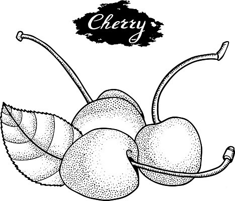 EPS 해외이미지 식물 열매 선 음식 조각 백그라운드 잎 다이어트 과일 일러스트 자연 디저트 건강 미술 그래픽 세트 정원 수확 흰색 신선 체리 달콤 맛 낙서 심볼 오브젝트 그림 유기농 복고 윤곽 손그림 판화 내추럴 고립 숙성 엘리먼트 채식주의자 해외일러스트 웰빙 컬러 컨셉 농업 문화예술 생태계 채식 파일형식 벡터 이미지허브