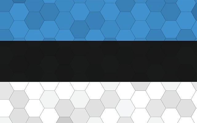 EPS 해외이미지 디자인 배너 유럽 문화 여행 백그라운드 일러스트 추상 미래 그래픽 파란색 검은색 줄무늬 손상 흰색 깃발 심볼 사인 그림 육각형 직사각형 애국심 벌집 고립 독립 에스토니아 전국 해외일러스트 도형 나라 컬러 컨셉 무늬 파일형식 벡터 이미지허브