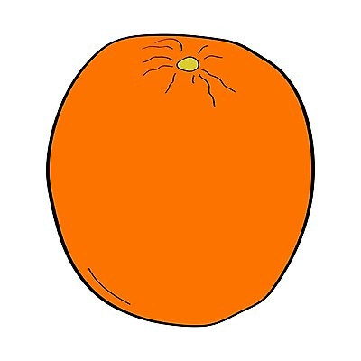 EPS 해외이미지 모양 식물 디자인 실루엣 선 음식 조각 오렌지 과일 일러스트 부분 자연 귤 건강 장식 정원 검은색 주스 흰색 신선 원형 달콤 맛 낙서 만화 스케치 자르기 레몬 그림 유기농 질감 날것 윤곽 손그림 고립 숙성 이국적 해외일러스트 도형 웰빙 음료 컬러 컨셉 모션 촬영기법 미술 생태계 파일형식 벡터 이미지허브