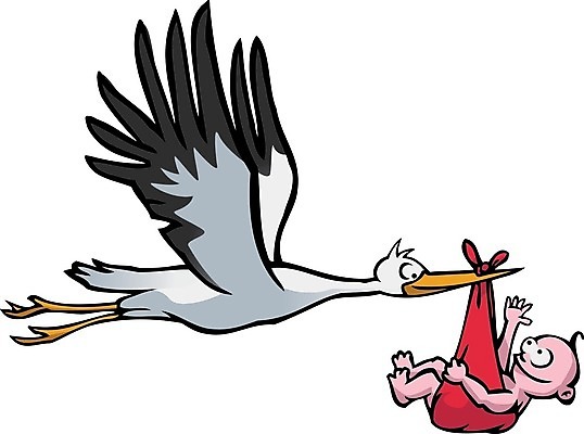 EPS 해외이미지 동물 딸 행복 아들 물결 분홍색 날개 오렌지 일러스트 조류 미소 소년 빨간색 빛 컬러풀 검은색 펼침 기쁨 회색 흰색 아기 신생아 아빠 달콤 배송 그림 강렬 처음 해외일러스트 남자 감정 어린이 컬러 과일 가족 모션 표정 사람 맛 파일형식 벡터 이미지허브