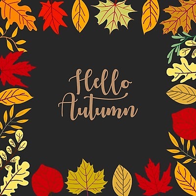 EPS 해외이미지 손글씨 단풍 낙엽 일러스트 프레임 사람없음 검은색 가을 가을배경 해외일러스트 계절 컬러 백그라운드 잎 파일형식 벡터 가을_계절 이미지허브