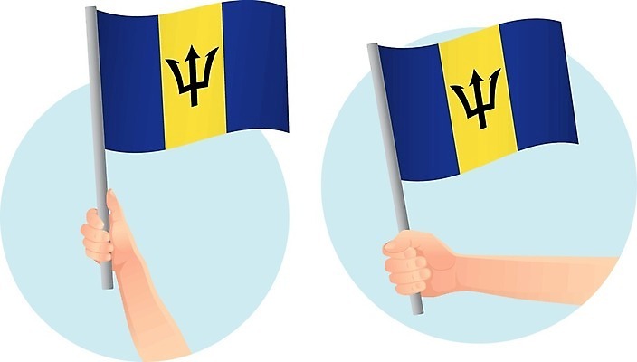 EPS 해외이미지 손 물결 여행 컨셉 일러스트 휴가 이벤트 세트 축제 자유 축하 깃발 잡기 작음 심볼 사인 팔 애국심 고립 독립 전국 해외일러스트 모션 신체부위 크기 파일형식 벡터 이미지허브