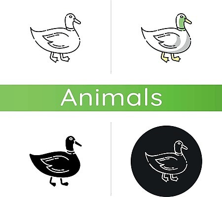 EPS 해외이미지 여러마리 일러스트 사람없음 세트 원형 청둥오리 해외일러스트 도형 다수 오리 파일형식 벡터 이미지허브