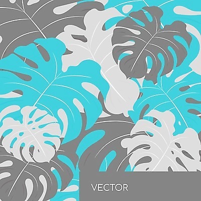 EPS 해외이미지 줄기 하늘색 잎 패턴 일러스트 사람없음 회색 원예 몬스테라 반려식물 해외일러스트 식물 컬러 무늬 취미 파란색 파일형식 벡터 이미지허브