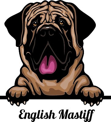 EPS 해외이미지 클립아트 동물 디자인 행복 실루엣 얼굴 새끼 일러스트 포유류 가족 발 자연 미술 미소 반려동물 머리 그리기 개 강아지 만화 수집 엿보기 심볼 사인 그림 사냥개 고립 캐리커처 해외일러스트 감정 관계 모션 문화예술 촬영기법 표정 신체부위 생태계 파일형식 벡터 이미지허브