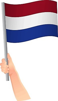 EPS 해외이미지 손 디자인 물결 일러스트 손가락 성공 자유 축하 깃발 잡기 막대기 작음 사인 네덜란드 깃대 봉 팔 애국심 독립 전국 해외일러스트 유럽 컨셉 모션 신체부위 크기 파일형식 벡터 이미지허브