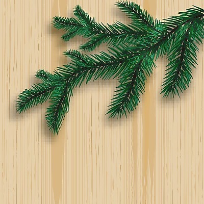 EPS 해외이미지 나무 식물 전통 디자인 실루엣 백그라운드 크리스마스 일러스트 자연 휴가 새로움 기념 프레임 장식 초록색 축제 공백 나뭇가지 축하 인사 소나무 신용카드 숲 연도 심볼 뼈대 상록수 침엽수 전나무 고립 가문비나무 현실 해외일러스트 기념일 컬러 컨셉 촬영기법 금융 예절 생태계 파일형식 벡터 이미지허브