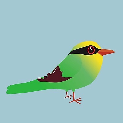 EPS 해외이미지 동물 야생동물 백그라운드 날개 일러스트 자연 조류 초록색 반려동물 컬러풀 노란색 환경 디지털 흰색 깃털 부리 까마귀 내추럴 고립 동물상 이국적 해외일러스트 컬러 조형물 생태계 파일형식 벡터 이미지허브