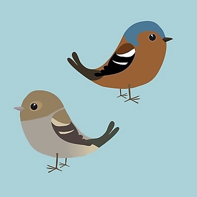 EPS 해외이미지 동물 디자인 야생동물 백그라운드 겨울 일러스트 자연 조류 미술 그래픽 빨간색 갈색 정원 검은색 흰색 나뭇가지 만화 수집 심볼 깃털 그림 부리 코믹 참새 고립 동물상 해외일러스트 나무 계절 컬러 문화예술 조형물 생태계 파일형식 벡터 이미지허브