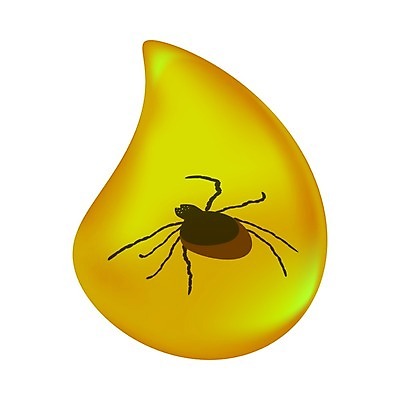 EPS 해외이미지 나무 야생동물 바다 조각 과학 곤충 백그라운드 오렌지 일러스트 자연 실내 세계 바위 시간 투명 황금 벌레 떨어짐 보석 유기농 생물학 화석 고생물 선사시대 고립 옛날 지질학 막 해외일러스트 식물 동물 웰빙 교육 컨셉 과일 생물 내부 돌_바위 역사 광석 생태계 파일형식 벡터 이미지허브