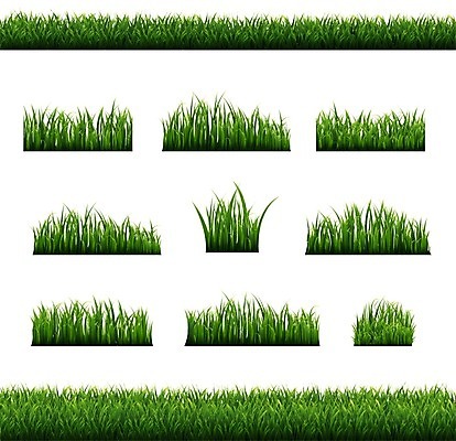 EPS 해외이미지 식물 템플릿 디자인 배너 꽃 백그라운드 잎 꽃무늬 밭 일러스트 자연 부활절 프레임 파노라마 미술 풍경 잔디 장식 초록색 여름 빛 환경 정원 봄 성장 신용카드 개화 4월 오브젝트 속도 에코 생태학 해외일러스트 계절 교육 기념일 컬러 무늬 농업 문화예술 촬영기법 금융 날짜 생태계 파일형식 벡터 이미지허브