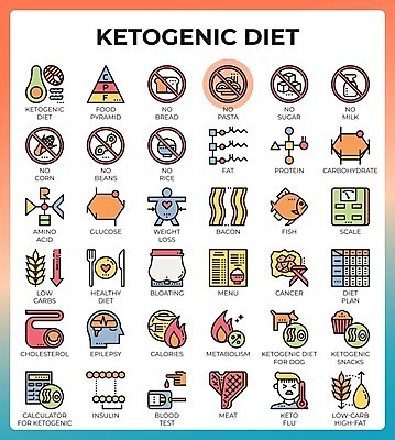EPS 해외이미지 선 음식 빵 다이어트 일러스트 밥 콩 파스타 건강 육류 어류 스테이크 반려동물 식사 우유 계산기 금지 개 계획 몸무게 설탕 메뉴 눈금 피라미드 베이컨 칼로리 암 단백질 당뇨병 포도당 화상 해외일러스트 동물 건축물 컨셉 식재료 포유류 문구용품 유제품 곡류 서양음식 돼지고기 수중동물 장비 질병 상처 랜드마크 영양소 파일형식 벡터 건축 의학 오브젝트 이미지허브