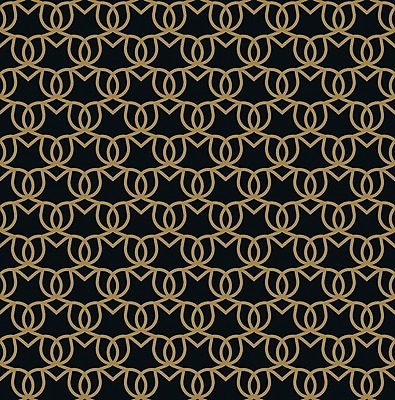 EPS 해외이미지 템플릿 디자인 별 선 백그라운드 패턴 곡선 일러스트 벽지 추상 흑백 동양인 그래픽 장식 직물 화려 고리 실 두루마리 인도인 타일 질감 매듭 펑키 망사 마디 대칭 바로크 아라베스크 아랍어 해외일러스트 자연요소 외국인 컨셉 무늬 촬영기법 인종 파일형식 벡터 이미지허브