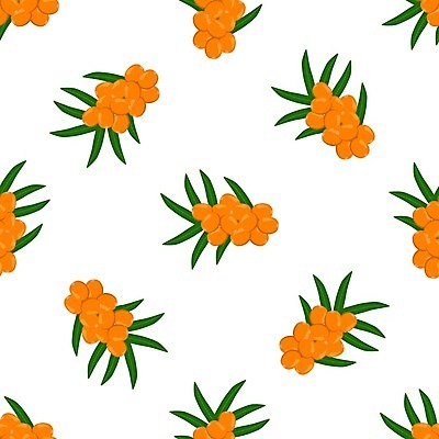 EPS 해외이미지 열매 종이 음식 벽 바다 백그라운드 잎 패턴 오렌지 과일 일러스트 자연 벽지 디저트 사탕 여름 식사 주스 수확 나뭇가지 신선 달콤 맛 상품 인쇄 다발 먹기 피부 메뉴 유기농 레이아웃 날것 내추럴 고립 숙성 식용 포장소품 많음 해외일러스트 나무 식물 웰빙 계절 음료 컨셉 무늬 농업 포장 모션 신체부위 오브젝트 생태계 포장재료 파일형식 벡터 이미지허브