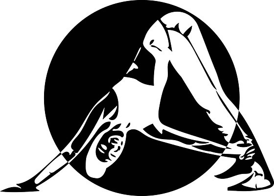 EPS 해외이미지 모양 웰빙 여자 실루엣 스포츠 운동화 컨셉 신체 일러스트 요가 추상 건강 사람 그래픽 운동복 운동 점프 스트레칭 힘 에너지 날씬함 심볼 연습 체육관 체조 포니테일 스타일 해외일러스트 헤어스타일 옷 신발 무늬 모션 촬영기법 몸매 파일형식 벡터 이미지허브