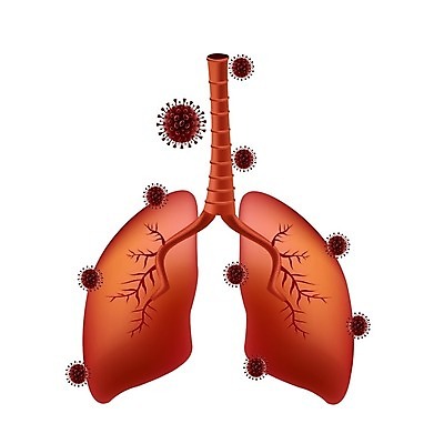 EPS 해외이미지 디자인 과학 백그라운드 컨셉 일러스트 해부 건강 병원 경고 사람 약 중국 고통 환자 열 오르간 호흡기관 바이러스 보호 질병 위험 예방 생물학 감염 박테리아 경보 고립 백신 인플루엔자 전염병 해외일러스트 교육 감정 아시아 의학 장기_의학 건반악기 파일형식 벡터 이미지허브