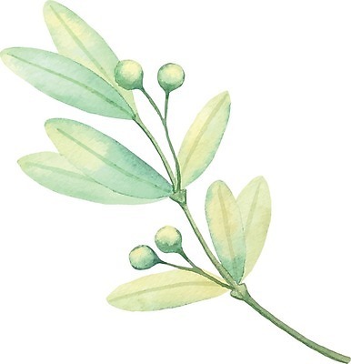 EPS 해외이미지 식물 잎 일러스트 붓터치 사람없음 그림 번짐 해외일러스트 파일형식 벡터 효과 이미지허브