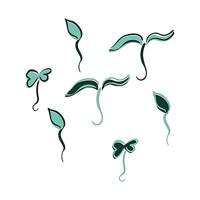 EPS 해외이미지 식물 디자인 음식 잎 채소 일러스트 재료 자연 건강 새싹 주방 봄 샐러드 신선 낙서 스케치 그림 에코 유기농 날것 내추럴 고립 모종 채식주의자 디톡스 비건 해외일러스트 웰빙 계절 미술 환경 생태계 채식 파일형식 벡터 이미지허브