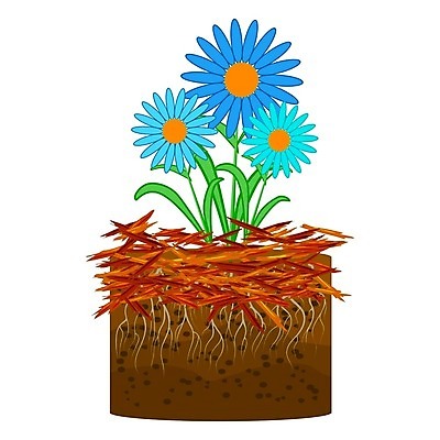 EPS 해외이미지 식물 디자인 배너 꽃 농업 일러스트 해바라기 주택 간판 풍경 목재 빨간색 라벨 세일 정원 흙 봄 신선 소나무 잡초 플랫 만화 청소 서비스 물주기 흰배경 유기농 원예 데이지 조경 뿌리 번짐 화단 유지 고립 돌봄 뒤뜰 무생채 삼나무 해외일러스트 나무 웰빙 계절 산업 컬러 백그라운드 재료 모션 프레임 취미 건물 흰색 파일형식 벡터 효과 이미지허브