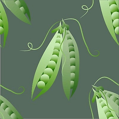 EPS 해외이미지 템플릿 디자인 백그라운드 패턴 일러스트 자연 벽지 탁자 미술 그래픽 초록색 정원 식사 수확 시리얼 먹기 그림 질감 완두콩 내추럴 포장소품 해외일러스트 음식 컬러 가구 무늬 농업 포장 모션 문화예술 콩 오브젝트 생태계 포장재료 파일형식 벡터 이미지허브