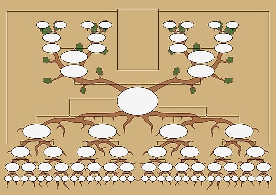 EPS 해외이미지 나무 할아버지 할머니 어린이 선 일러스트 가족 엄마 그리기 아빠 만화 해외일러스트 식물 여자 노년 남자 관계 모션 사람 파일형식 벡터 이미지허브