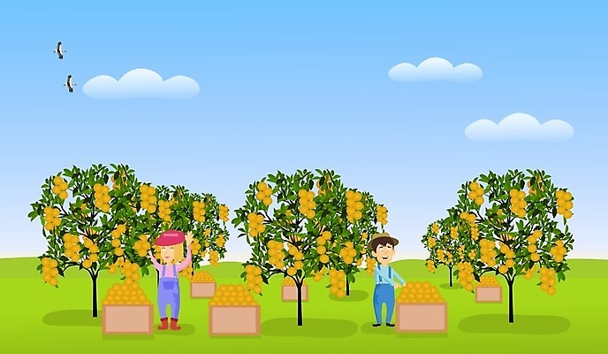 EPS 해외이미지 나무 식물 디자인 계절 남자 문화 음식 백그라운드 잎 농업 오렌지 과일 일러스트 가족 자연 하늘 노동자 귤 사람 야외 초록색 파란색 농장 농경지 환경 정원 맑음 봄 수확 성장 시골 신선 농부 만화 수집 원예 내추럴 밭일 조작 해외일러스트 직업 산업 컬러 관계 날씨 취미 생태계 파일형식 벡터 이미지허브