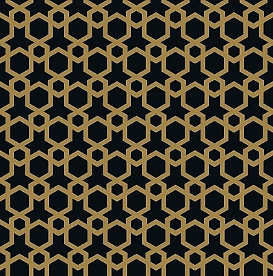 EPS 해외이미지 모양 디자인 선 백그라운드 패턴 일러스트 벽지 추상 프레임 그래픽 장식 견본 검은색 카펫 직물 화려 황금 고급 우아함 인쇄 타일 질감 패키지 대칭 포장소품 해외일러스트 컬러 컨셉 무늬 포장 오브젝트 포장재료 파일형식 벡터 이미지허브