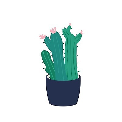 EPS 해외이미지 화분 줄기 잎 일러스트 선인장 사람없음 원예 선인장꽃 반려식물 해외일러스트 식물 꽃 취미 파일형식 벡터 이미지허브