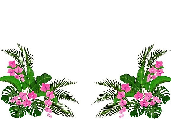 EPS 해외이미지 나무 식물 템플릿 디자인 배너 포스터 분홍색 백그라운드 잎 패턴 일러스트 자연 바나나 손바닥 그림자 미술 그래픽 장식 초록색 빛 컬러풀 유행 정원 흰색 난초 인쇄 심볼 오브젝트 싱글 그림 유기농 엽서 코코넛 내추럴 고립 엘리먼트 현실 디테일 해외일러스트 손 웰빙 컬러 무늬 과일 문화예술 편지 생태계 파일형식 벡터 이미지허브