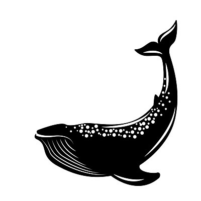 EPS 해외이미지 한마리 일러스트 사람없음 검은색 고래 해외일러스트 1 컬러 포유류 수중동물 파일형식 벡터 이미지허브