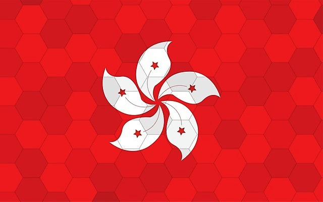 EPS 해외이미지 디자인 배너 꽃 별 문화 여행 백그라운드 일러스트 추상 미래 그래픽 빨간색 중국 흰색 깃발 난초 심볼 사인 그림 육각형 홍콩 직사각형 애국심 벌집 고립 독립 전국 해외일러스트 자연요소 도형 식물 아시아 컬러 컨셉 무늬 파일형식 벡터 이미지허브