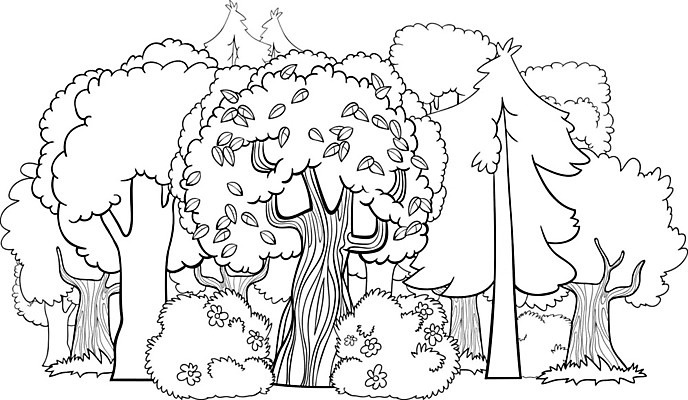 EPS 해외이미지 나무 식물 계절 단풍 낙엽 일러스트 자연 왕관 흑백 건강 풍경 야외 목재 그래픽 책 초록색 여름 환경 봄 성장 시골 신선 소나무 황무지 정상 숲 만화 페이지 침엽수 전나무 내추럴 색칠공부 생태학 가문비나무 해외일러스트 교육 컬러 잎 재료 촬영기법 학습 색칠 생태계 파일형식 벡터 이미지허브