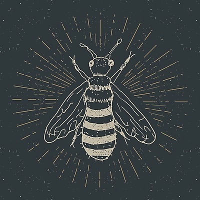 EPS 해외이미지 동물 템플릿 디자인 배너 포스터 야생동물 선 곤충 백그라운드 스티커 날개 일러스트 자연 흑백 미술 타이포그라피 그래픽 장식 여름 라벨 수확 신용카드 클래식 벌레 낙서 말벌 인쇄 스케치 벌 심볼 그림 질감 복고 생물학 윤곽 배지 손그림 꿀 우표 벌집 골프티 휘장 그런지 해외일러스트 문자 계절 교육 컨셉 농업 문화예술 골프용품 프레임 촬영기법 금융 생태계 파일형식 벡터 산업 스포츠용품 골프 경제 스포츠 구기 오브젝트 이미지허브