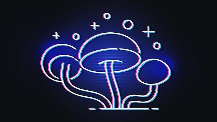 EPS 해외이미지 일러스트 요정 풍경 사람없음 목재 버섯 외계인 숲 생물학 네온 독버섯 해외일러스트 나무 교육 재료 미확인물체 파일형식 벡터 이미지허브