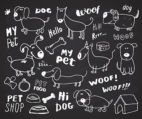 EPS 해외이미지 동물 캐릭터 디자인 행복 백그라운드 일러스트 포유류 미소 앉기 그래픽 반려동물 세트 갈색 머리 검은색 흰색 그룹 개 강아지 낙서 작음 만화 스케치 테리어 래브라도리트리버 수집 심볼 사인 그림 꼬리 사냥개 윤곽 코믹 손그림 수의사 송곳니 고립 해외일러스트 일러캐릭터 감정 컬러 모션 표정 미술 신체부위 의사 리트리버 치아 크기 파일형식 벡터 이미지허브