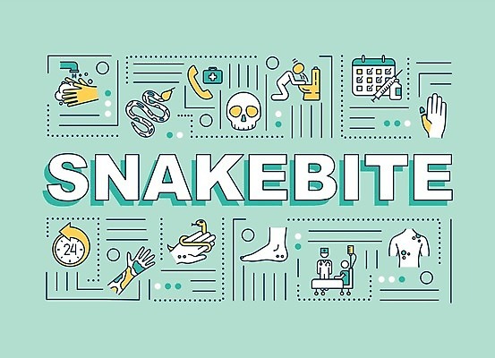 EPS 해외이미지 디자인 배너 영어 점선 선 두마리 라인일러스트 일러스트 해골 사람모양 병원 타이포그라피 사람없음 단어 죽음 독약 뱀 위험 자르기 변기 손씻기 중독 24시간 구토 민트색 위급 위급상황 응급실 응급조치 응급치료 증상 독_독극물 해외일러스트 모양 문자 컬러 컨셉 2 의학 파충류 모션 뼈 치료 응급 시간 씻기 파일형식 벡터 이미지허브