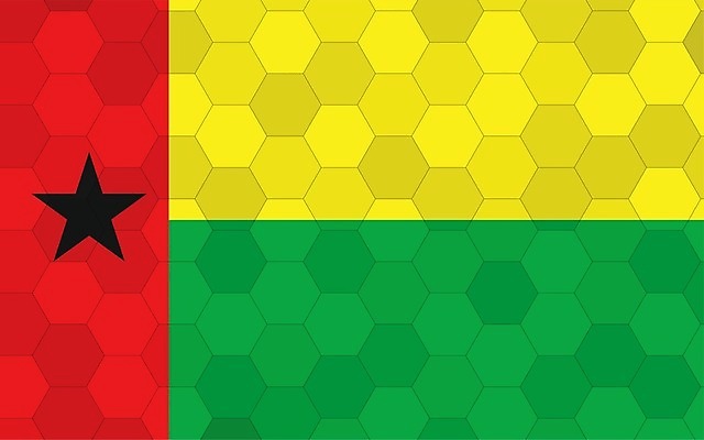 EPS 해외이미지 디자인 배너 별 문화 여행 백그라운드 일러스트 추상 미래 그래픽 초록색 노란색 검은색 줄무늬 손상 깃발 심볼 사인 그림 육각형 직사각형 애국심 벌집 고립 독립 전국 해외일러스트 자연요소 도형 컬러 컨셉 무늬 파일형식 벡터 이미지허브