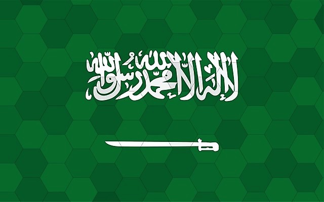 EPS 해외이미지 디자인 배너 문화 여행 백그라운드 일러스트 텍스트 추상 미래 그래픽 초록색 흰색 깃발 칼 이슬람교 심볼 사인 그림 육각형 직사각형 애국심 벌집 고립 독립 전국 해외일러스트 도형 종교 컬러 컨셉 무늬 파일형식 벡터 이미지허브