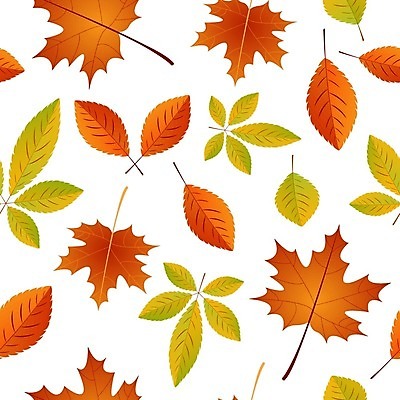 EPS 해외이미지 나무 식물 디자인 계절 실루엣 종이 줄기 분홍색 백그라운드 단풍 잎 패턴 오렌지 일러스트 자연 벽지 추상 장식 빨간색 세트 컬러풀 갈색 노란색 활발 직물 인사 신용카드 화려 떨어짐 9월 11월 오브젝트 질감 시들음 정맥 10월 내추럴 고립 엘리먼트 해외일러스트 컬러 컨셉 무늬 과일 촬영기법 금융 예절 날짜 생태계 혈관 파일형식 벡터 이미지허브