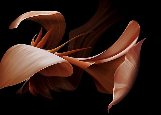 EPS 해외이미지 식물 템플릿 꽃 분홍색 꽃다발 백그라운드 꽃무늬 일러스트 자연 벽지 추상 미술 어둠 봄 수확 벚꽃 신선 고립 굴곡 해외일러스트 계절 컬러 무늬 농업 문화예술 생태계 파일형식 벡터 이미지허브