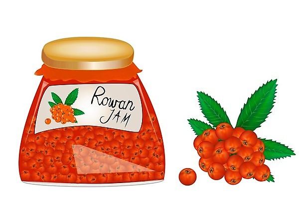 EPS 해외이미지 식물 템플릿 열매 음료 음식 잎 과일 일러스트 재료 자연 유리 디저트 건강 빨간색 라벨 주스 신선 항아리 달콤 맛 냄비 상품 잼 만화 먹기 심볼 유기농 심플 젤리 통조림 내추럴 고립 마멀레이드 숙성 목업 비건 해외일러스트 웰빙 컬러 컨셉 모션 재질 프레임 도자기 소스_음식 솥 생태계 채식주의자 파일형식 벡터 이미지허브