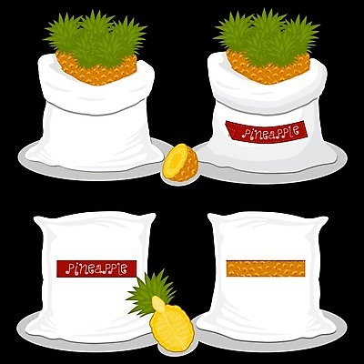 EPS 해외이미지 음식 조각 백그라운드 가방 과일 일러스트 포장 부분 디저트 귤 사탕 농작물 농장 주스 수확 오픈 달콤 맛 상품 만화 자르기 삼베 가득함 창고 파인애플 레이아웃 날것 자루 팩 수납 흙더미 덩어리 내추럴 고립 밭일 숙성 이국적 개조 해외일러스트 잡화 음료 컨셉 농업 모션 흙 화장품 열대과일 파일형식 벡터 천_직물 더미 이미지허브