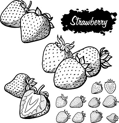 EPS 해외이미지 식물 손 디자인 열매 음식 백그라운드 잎 농업 다이어트 과일 일러스트 자연 딸기 디저트 건강 미술 그래픽 검은색 수확 흰색 신선 그리기 그룹 달콤 낙서 인쇄 만화 스케치 상쾌 그림 유기농 복고 날것 윤곽 손그림 내추럴 고립 숙성 엘리먼트 채식주의자 해외일러스트 웰빙 감정 산업 컬러 모션 문화예술 신체부위 맛 생태계 채식 파일형식 벡터 이미지허브