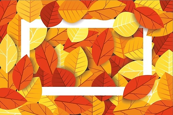 EPS 해외이미지 단풍 낙엽 일러스트 프레임 사람없음 주황색 해외일러스트 컬러 잎 파일형식 벡터 이미지허브