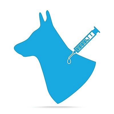 EPS 해외이미지 동물 일러스트 건강 병원 주사기 치료 파란색 반려동물 약 고통 시험 환자 도움 수비 바이러스 개 강아지 보호 질병 심볼 사인 주사약 수의사 송곳니 돌봄 백신 예방접종 해외일러스트 교육 감정 컬러 컨셉 포유류 의학 의료기기 모션 의사 치아 접종 파일형식 벡터 이미지허브