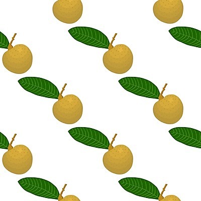 EPS 해외이미지 모양 열매 종이 음식 벽 조각 백그라운드 패턴 채소 과일 일러스트 태국 자연 벽지 디저트 사탕 여름 식사 주스 신선 달콤 맛 상품 인쇄 만화 피부 타일 메뉴 유기농 질감 레이아웃 날것 내추럴 고립 숙성 식용 포장소품 해외일러스트 식물 웰빙 계절 아시아 음료 컨셉 무늬 포장 신체부위 오브젝트 생태계 포장재료 파일형식 벡터 이미지허브