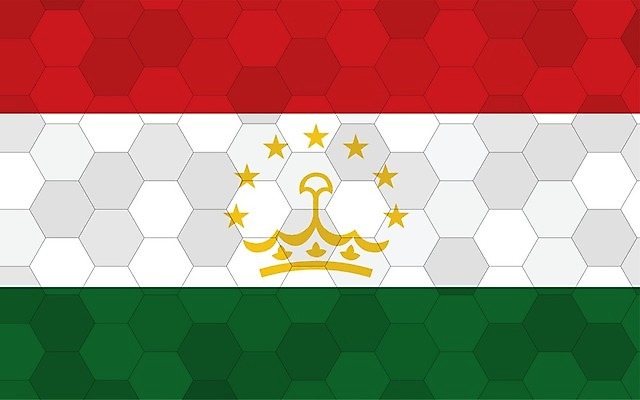 EPS 해외이미지 디자인 배너 별 문화 여행 백그라운드 일러스트 추상 미래 왕관 그래픽 빨간색 초록색 노란색 줄무늬 손상 흰색 깃발 황금 심볼 사인 그림 육각형 직사각형 애국심 벌집 고립 독립 전국 해외일러스트 자연요소 도형 컬러 컨셉 무늬 파일형식 벡터 이미지허브