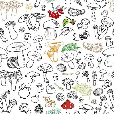 EPS 해외이미지 식물 디자인 계절 음식 백그라운드 잎 패턴 다이어트 채소 일러스트 재료 자연 건강 요리 타이포그라피 그래픽 장식 갈색 바구니 식사 버섯 견과류 수확 가을 신선 낙서 숲 스케치 수집 먹기 유기농 날것 윤곽 손그림 내추럴 고립 곰팡이 식용 엘리먼트 채식주의자 캡모자 비건 해외일러스트 문자 모자_잡화 웰빙 컬러 무늬 농업 모션 미술 생태계 채식 파일형식 벡터 이미지허브